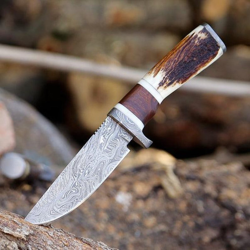 Handmade Damascus Steel Stag Horn Rosewood Handle Skinner Hunting Camping Knife Hand Forged Damascu 4