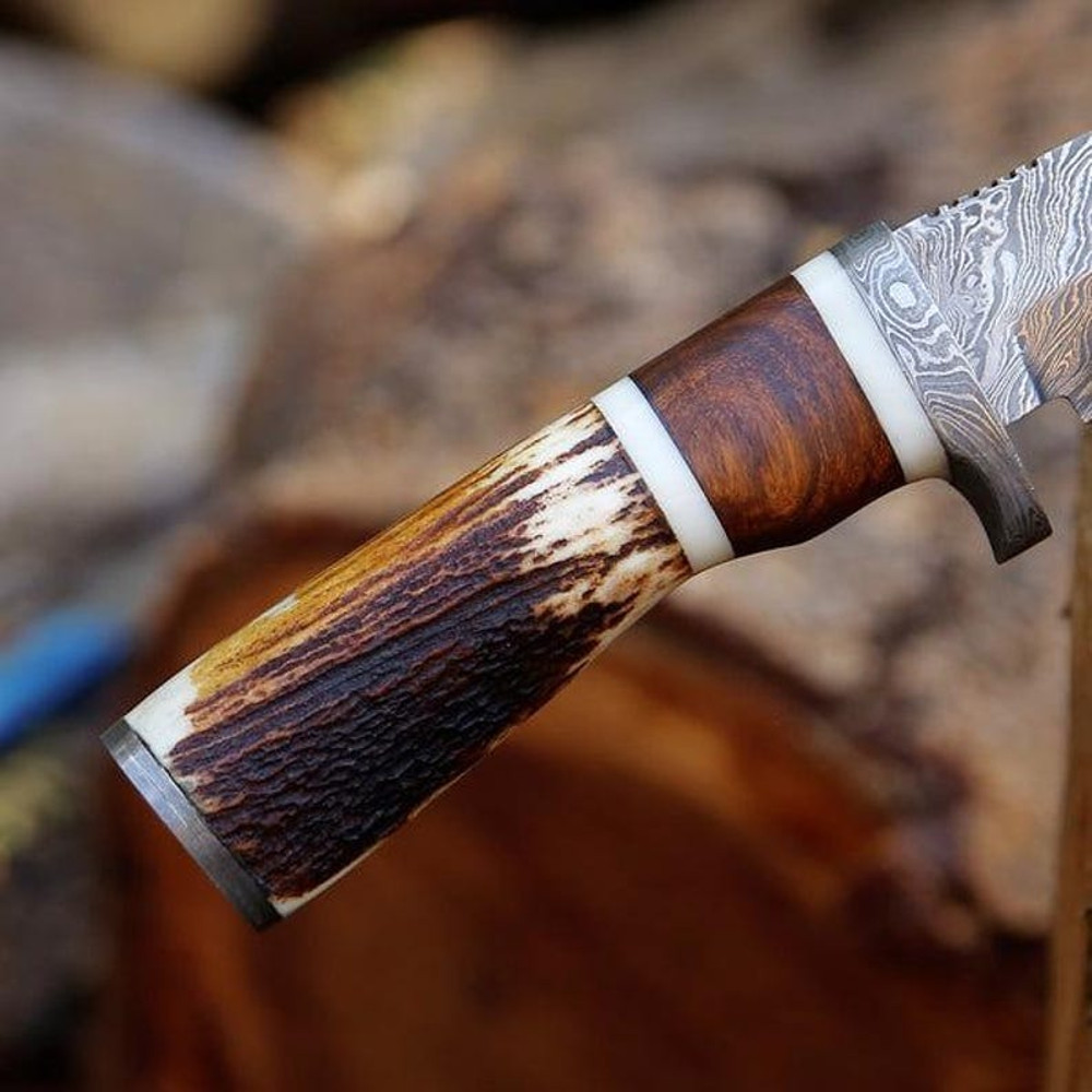 Handmade Damascus Steel Stag Horn Rosewood Handle Skinner Hunting Camping Knife Hand Forged Damascu 6