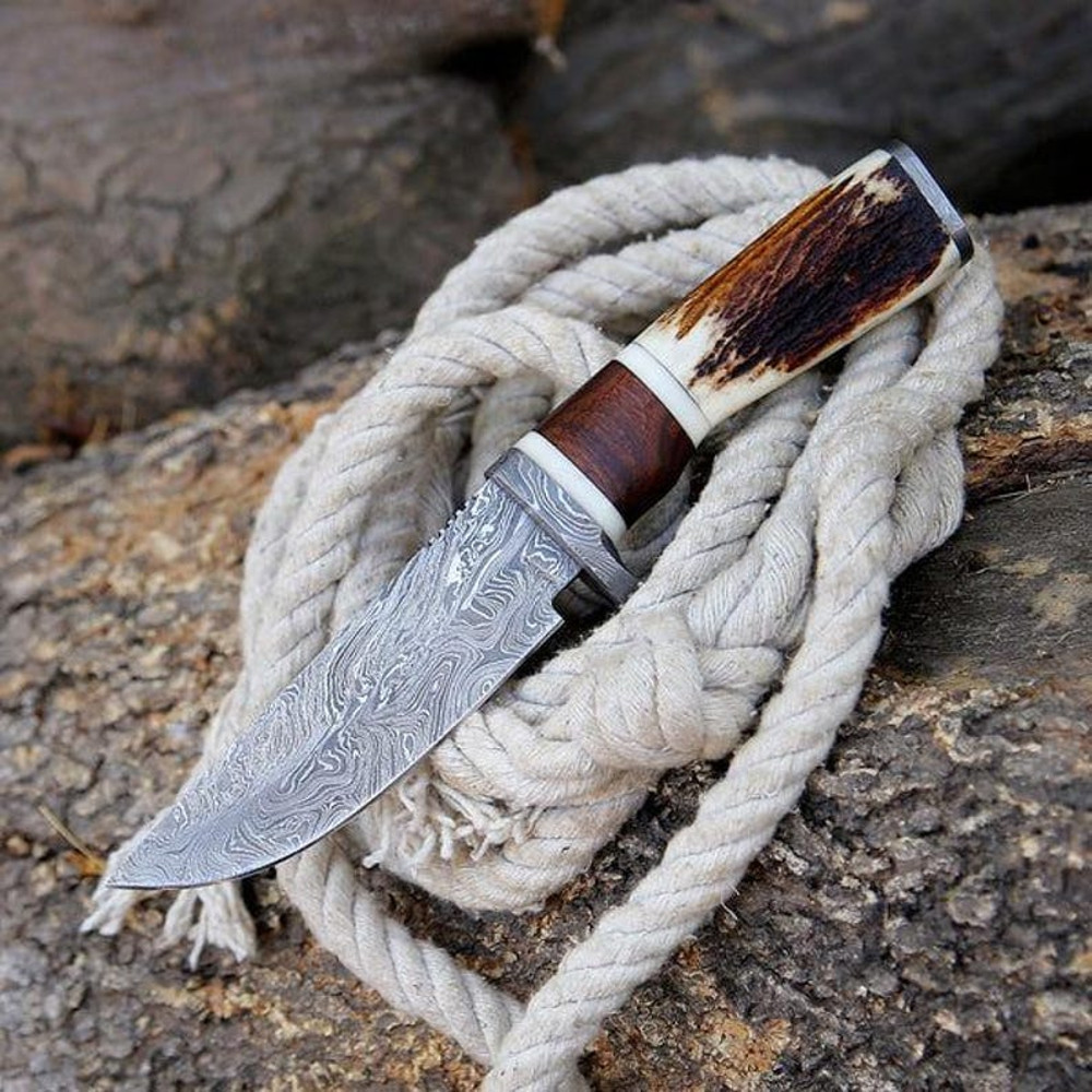 Handmade Damascus Steel Stag Horn Rosewood Handle Skinner Hunting Camping Knife Hand Forged Damascu 7