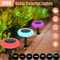 2Pcs Outdoor Solar Pathway Light 7 Color Landscape Lamp For Yard Waterproof LED Garden Lights For C 0