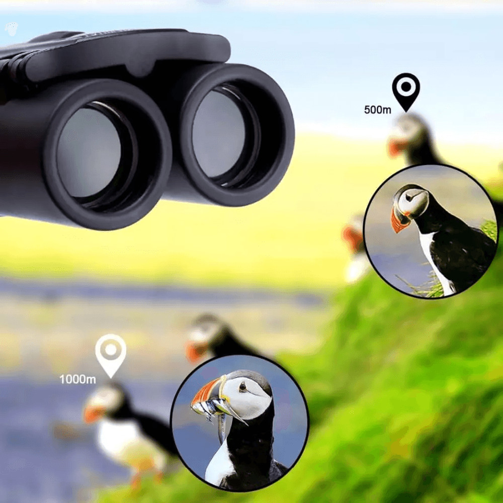 Portable HD Zoom Powerful Binoculars High Definition Day Night Vision For Hunting Outdoor Adventur 3
