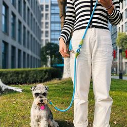 reflective nylon dog leash with traffic handle slip lead rope chain for small large dogs, hands-free running walking