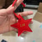 Personalized Leather Star Keychain with Free Custom Initials, Five-Pointed Star Pendant for Car Keys & Bag Accessories