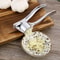 Premium Stainless Steel Garlic Press Crusher Mincer Tool 1
