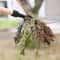 Heavy Duty Standing Weed Puller Manual Garden Root Remover Tool 4