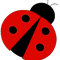 Ladybug 1.png