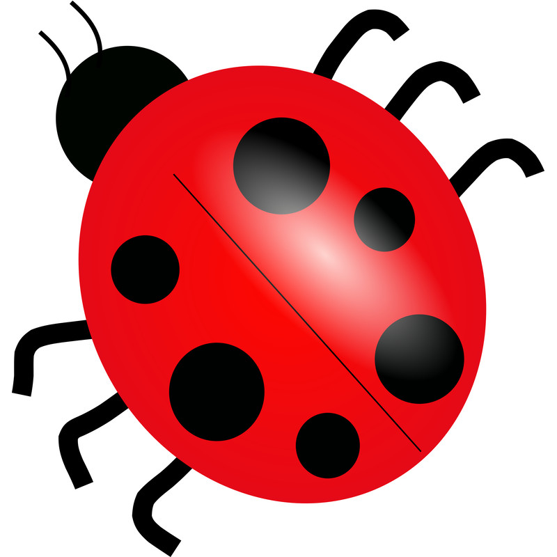 Ladybug 3.png