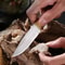 UltraSharp Fruit Knife Outdoor Boning BBQ Knife EDC Portable Pocket Knife for Survival Lamb C