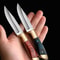 UltraSharp Fruit Knife Outdoor Boning BBQ Knife EDC Portable Pocket Knife for Survival Lamb C