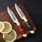 UltraSharp Fruit Knife Outdoor Boning BBQ Knife EDC Portable Pocket Knife for Survival Lamb C