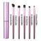 Professional Pony Hair Eyeshadow Brush Set, Nose Shadow, Eyeliner Brush, Eyelash Brush with Aluminum Tube Holder
