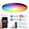 Tuya Smart WiFi BLE LED Ceiling Light, 24W RGBCW Round Lamp, Alexa Voice Control, 16M Colors, Indoor Lighting
