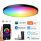 Tuya Smart WiFi BLE LED Ceiling Light, 24W RGBCW Round Lamp, Alexa Voice Control, 16M Colors, Indoor Lighting