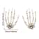 Halloween Skeleton Hands Realistic Plastic Human Hand Bone Haunted House Props Horror Decoration Ac 5