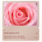 SADOER Rose Moisturizing Hand Mask Gloves, Whitening & Nourishing Anti-Aging Treatment for Hydrating and Exfoliating