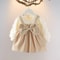 Toddler Baby Girls Cotton Princess Dress, Long Sleeve Ruffle Sleeve Party Dress with Big Bowknot