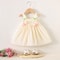Baby Girl Dress Summer Tulip Style, Cute Mesh Princess Party Dress with Suspenders