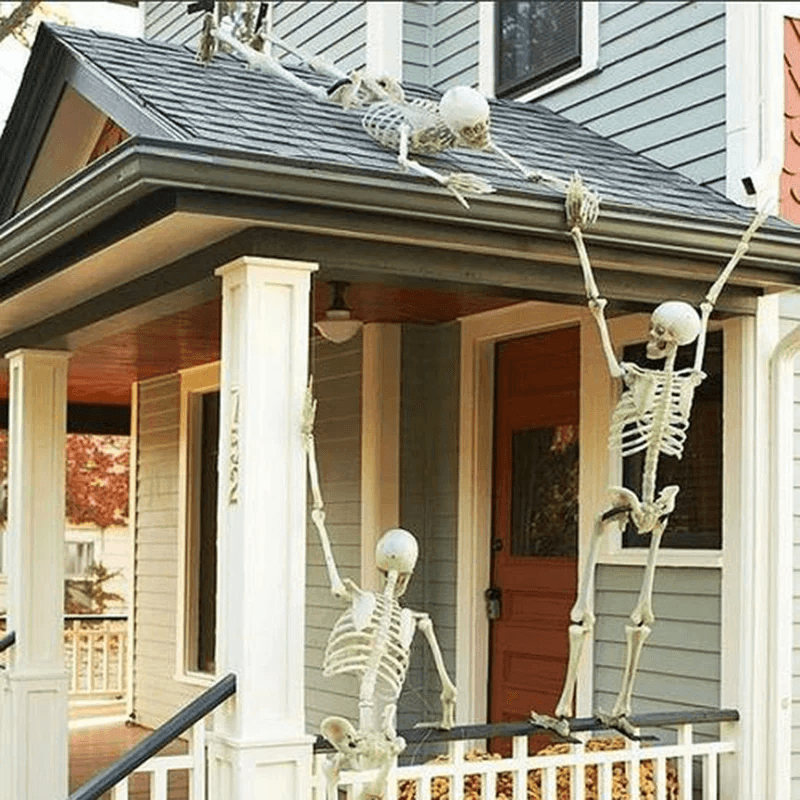 Lifesize Movable Halloween Skeleton Full Body Fake Skull  Bones For Haunted House Home Bar And Horr 0