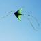 Large Delta Kite for Kids and Adults, Easy to Fly, Huge Green Design with 500cm Tail, Outdoor Toys with 100M Line