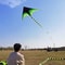 Large Delta Kite for Kids and Adults, Easy to Fly, Huge Green Design with 500cm Tail, Outdoor Toys with 100M Line