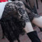 Soft Flower Lace Underskirt Anti Glare Safety Slip For Cheongsam 75cm Loose Lining Petticoat For Wo 2