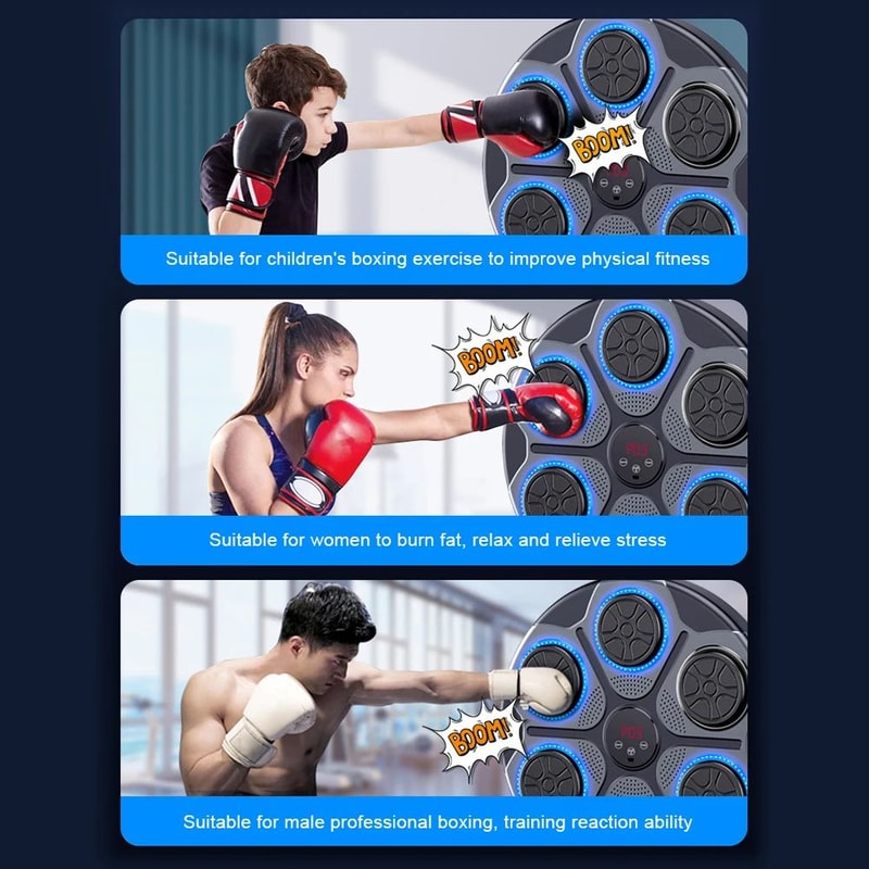 Music Boxing Wall Trainer 2