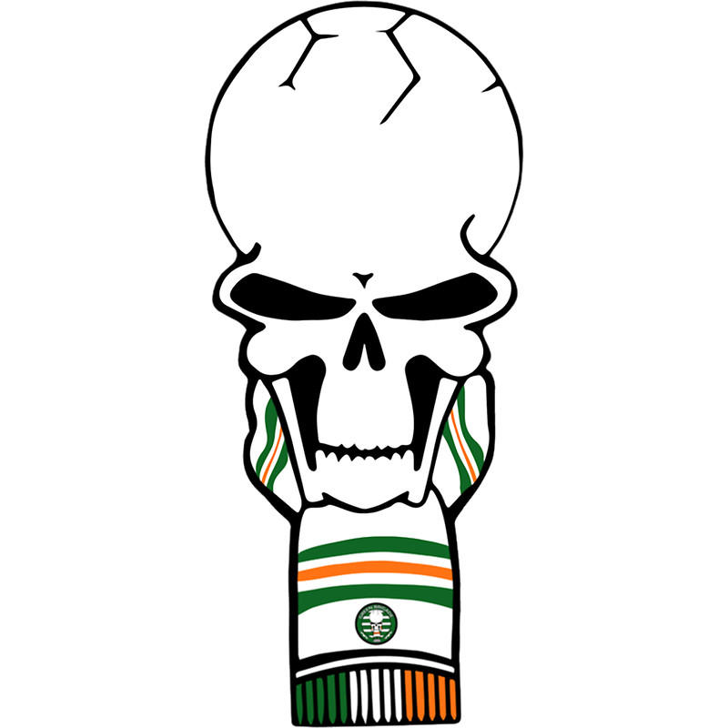 Green Brigade skull -Ireland flag- .png
