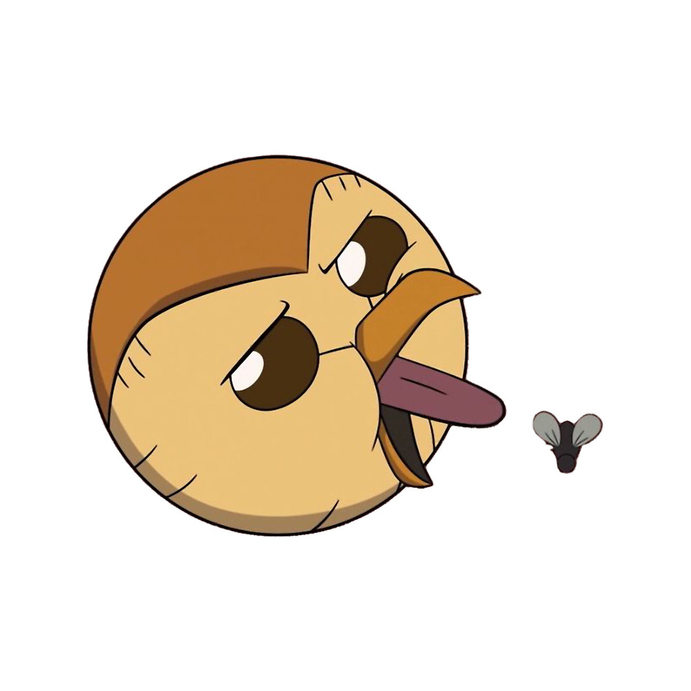 Hooty and Fly the Owl House .png