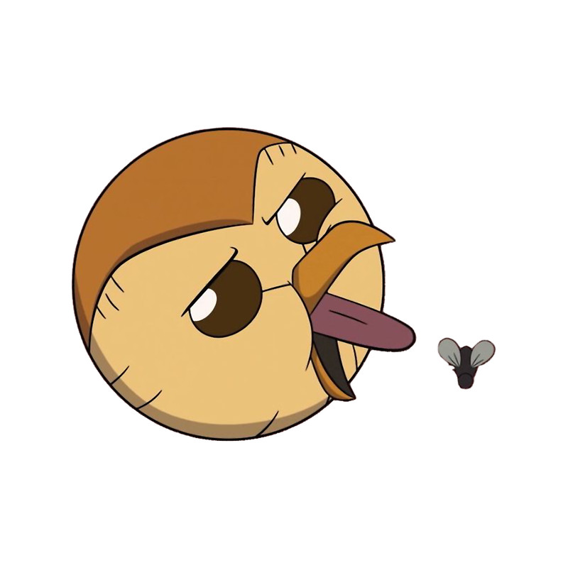 Hooty and Fly the Owl House .png