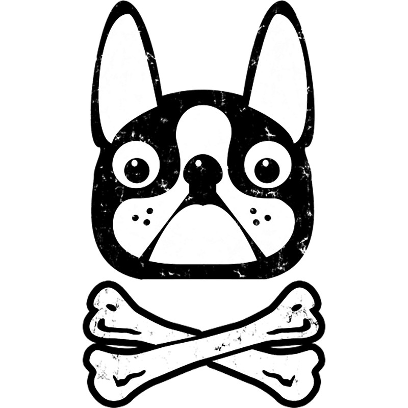 Boston terrier .png