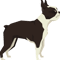 Boston Terrier - Gift For Boston Terrier Owner Lover.png
