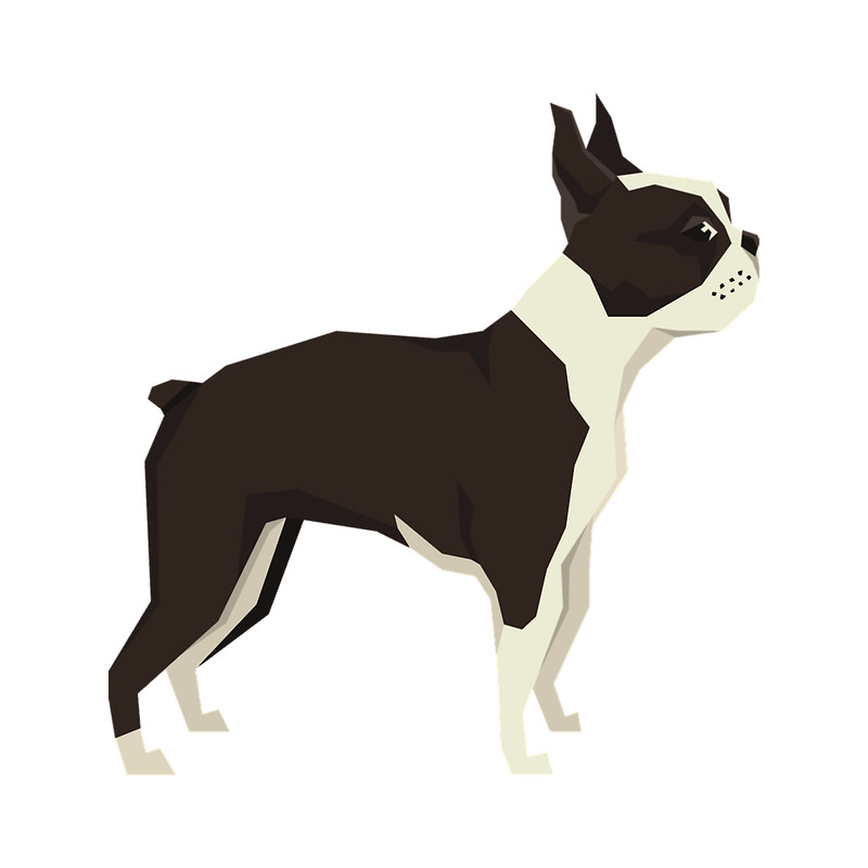Boston Terrier - Gift For Boston Terrier Owner Lover.png