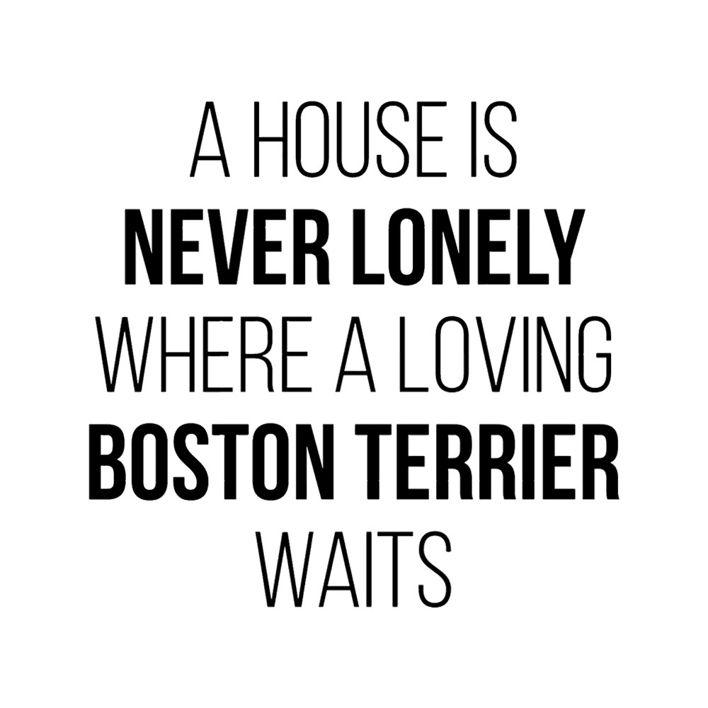 Boston Terrier Dog Cute Quote.png