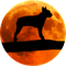 Boston Terrier Dog Silhouette Moon Boston Terrier lover.png