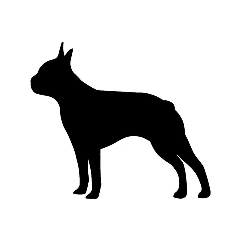 Boston Terrier Dog.png