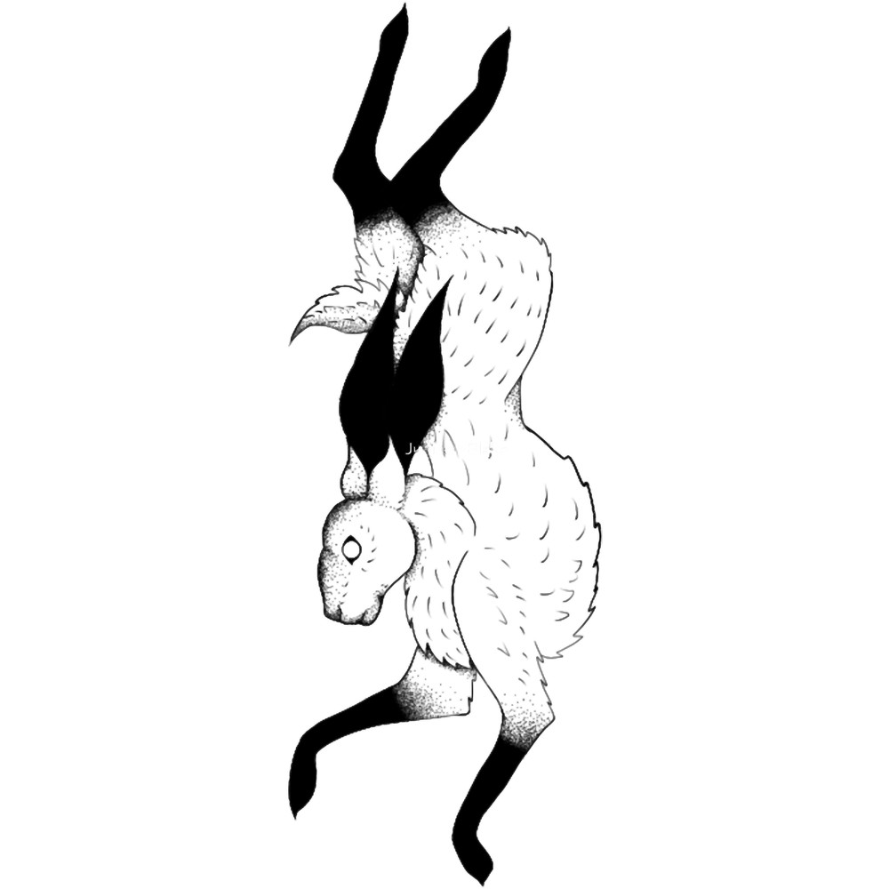 Dark Rabbit .png