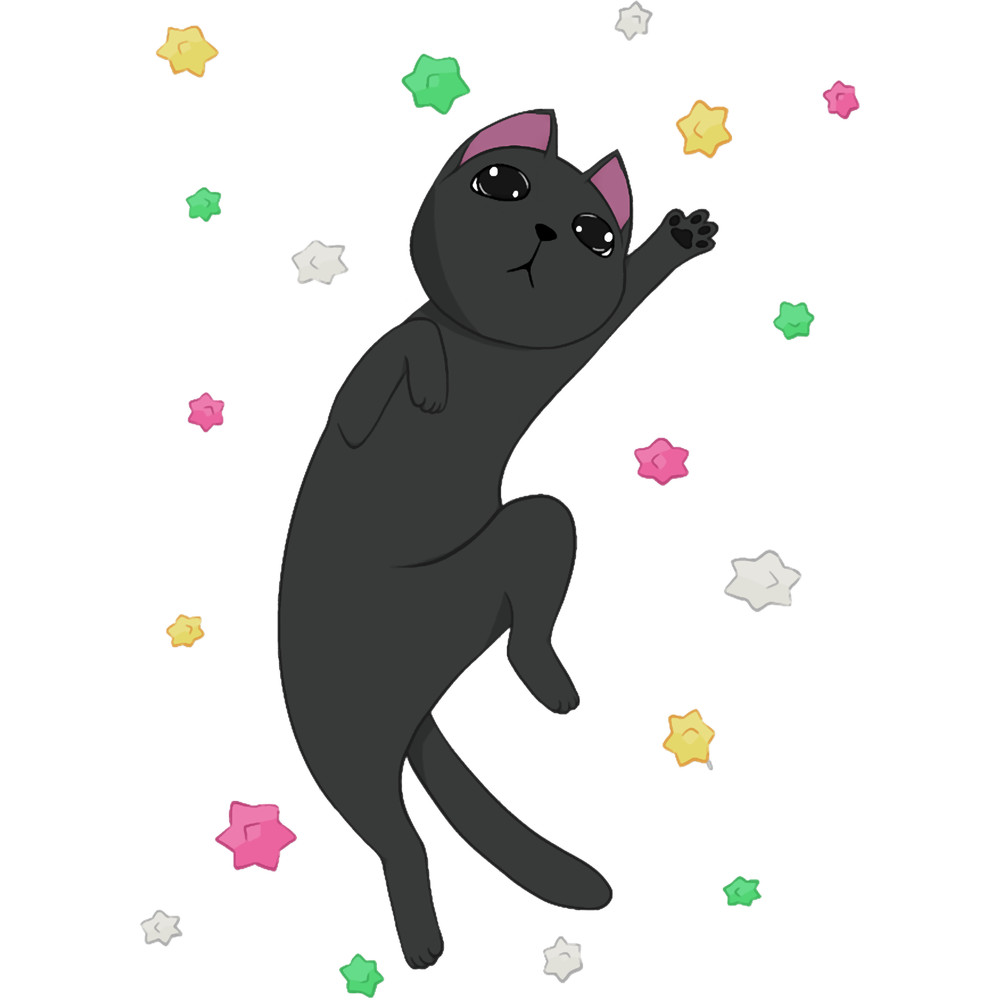Soot The Cat .png