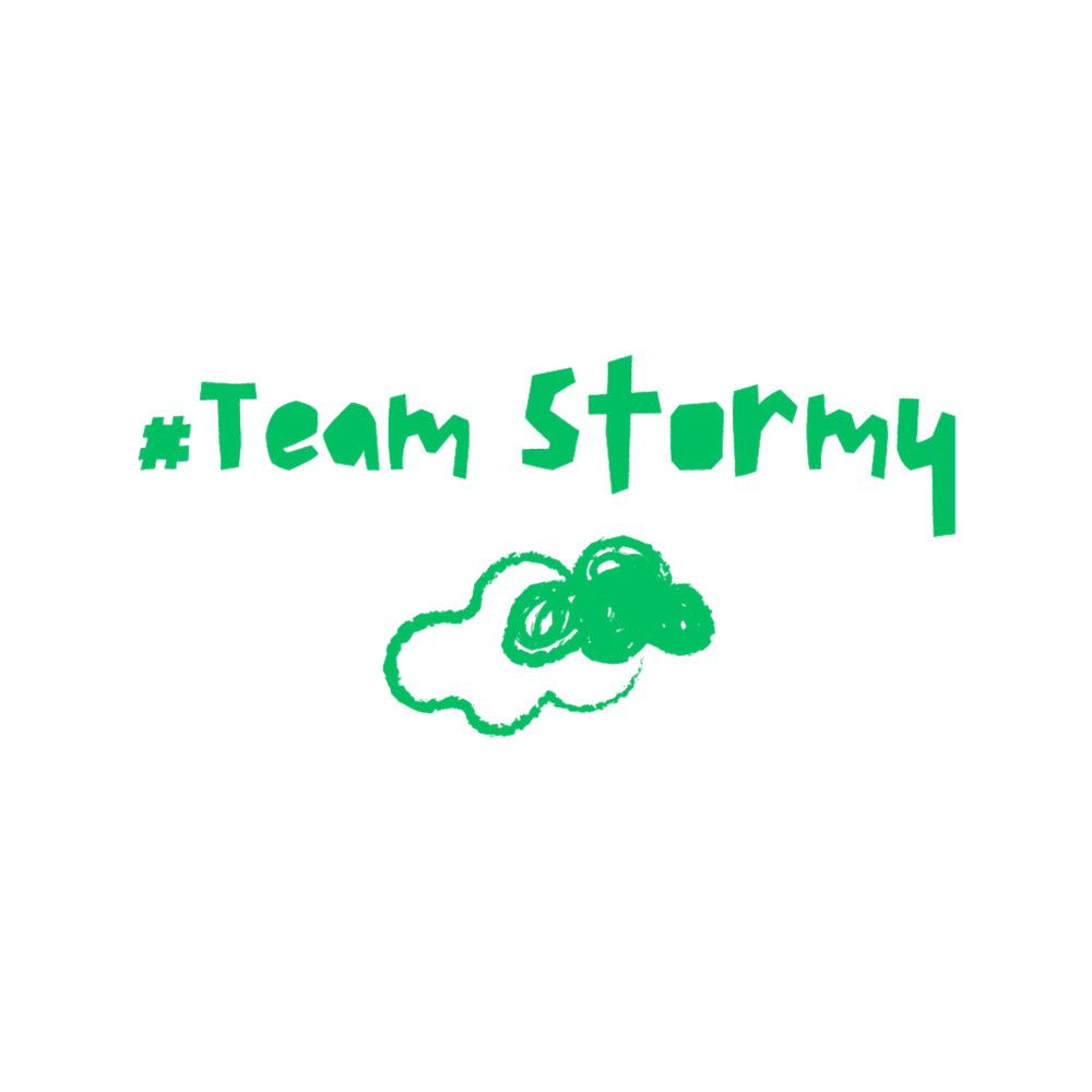team stormy .png