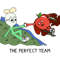 The Perfect Team .png