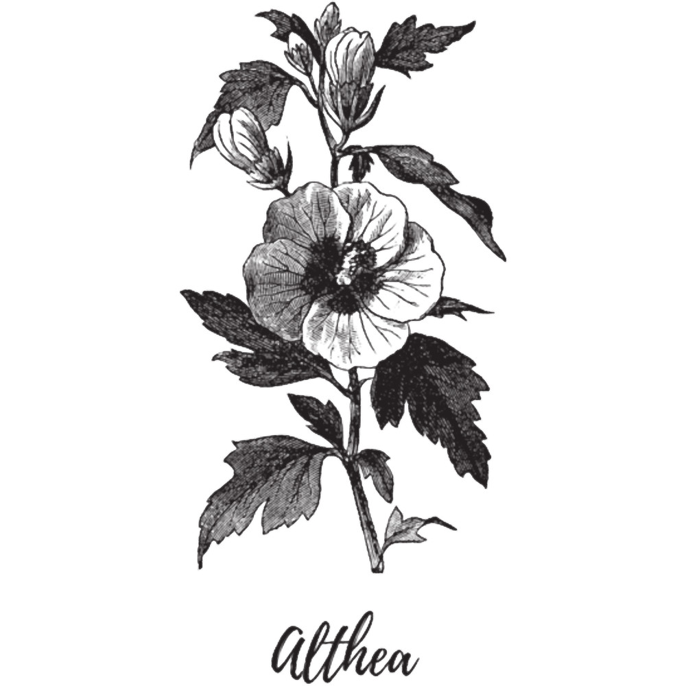 Althea .png