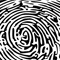 Fingerprint Pattern .png