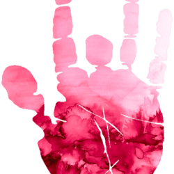 pink rose dip dye jerry hand