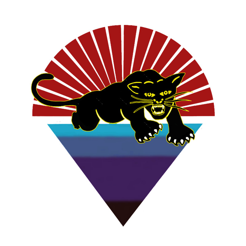 Vintage Black Panthers Under The Stars Music .png