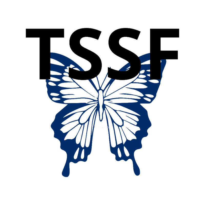 The Story So Far(4).png