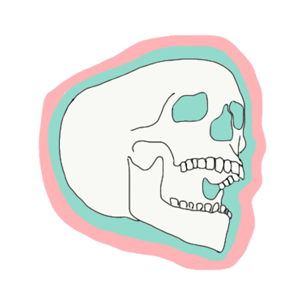 power puff skull.png