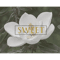 Sweet Magnolias (2).png