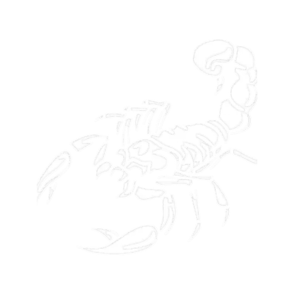 Bravery Vibrant Performance Level Cool Scorpion Design Fitted V Neck Gifts.png