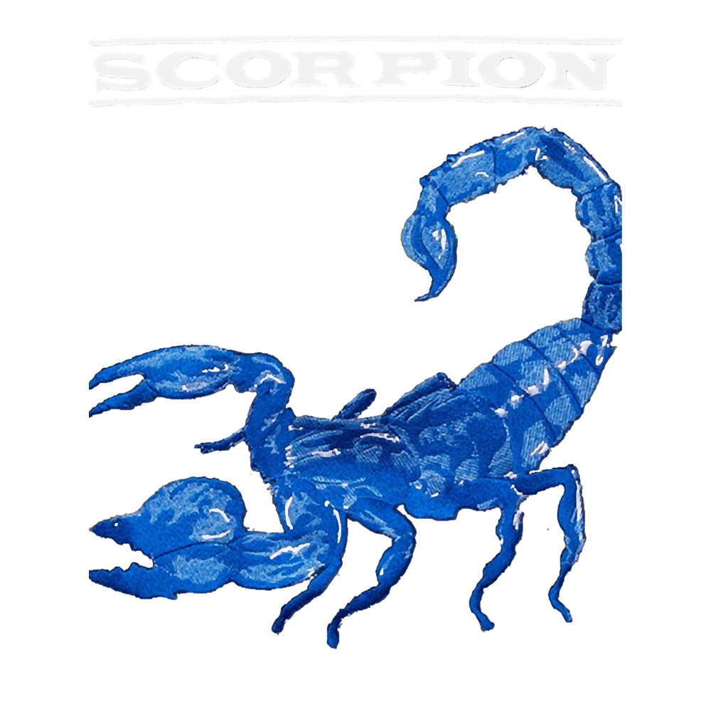 Bravery Vibrant Performance Level Cool Stop Wasting Time And Start Scorpions Band Graphic Gifts Clas.png