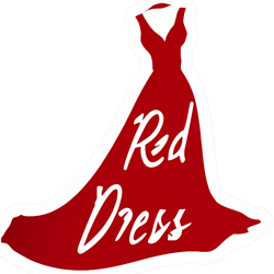 red dress as nick jonas (dress design)
