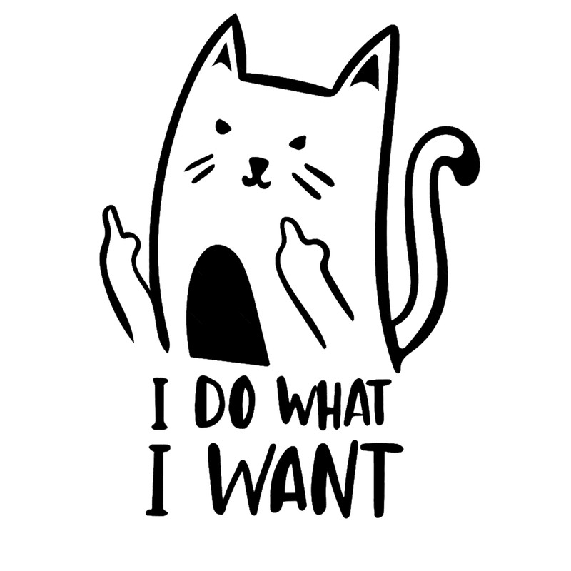 Funny Cat Middle FingerDirty Cat Birthday GiftI Do What I Want Funny Joke Cat Anime Design Cla.png